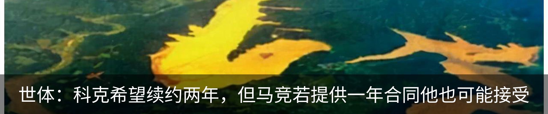 新闻中心