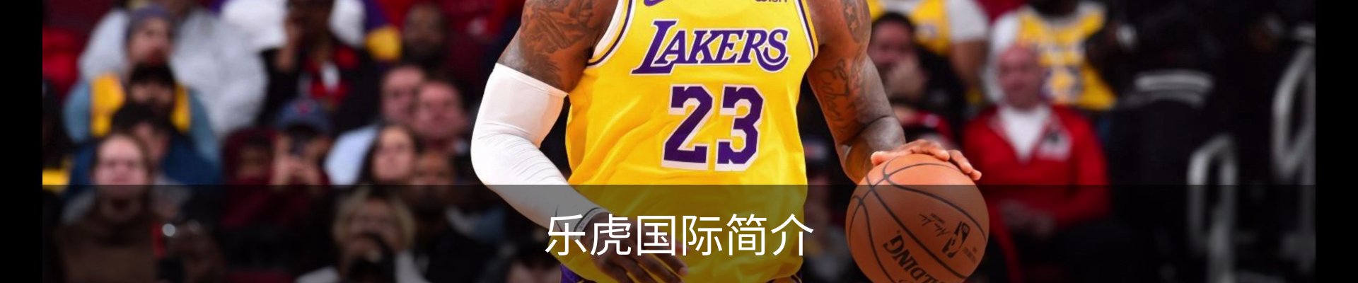 乐虎国际简介