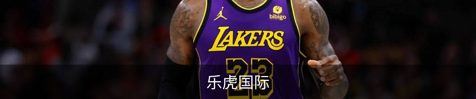 乐虎国际(lehu)中国官方网站